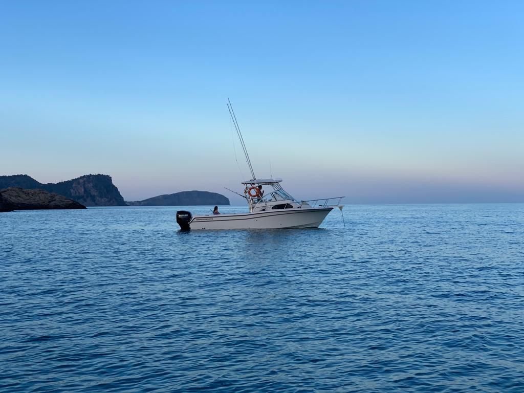 2007 Grady White Sailfish 282